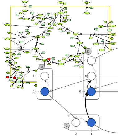 Steady-state and dynamics analysis for biological networks