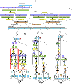 Scientific workflows